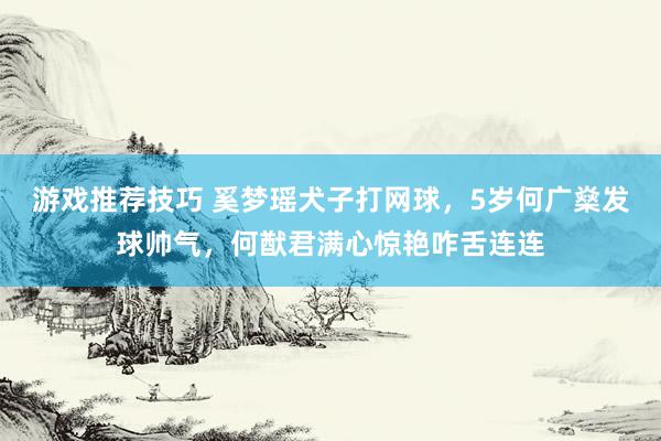 游戏推荐技巧 奚梦瑶犬子打网球，5岁何广燊发球帅气，何猷君满心惊艳咋舌连连