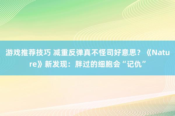 游戏推荐技巧 减重反弹真不怪司好意思？《Nature》新发现：胖过的细胞会“记仇”