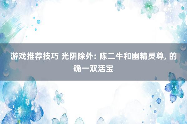 游戏推荐技巧 光阴除外: 陈二牛和幽精灵尊, 的确一双活宝