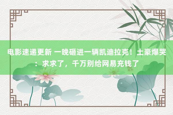 电影速递更新 一晚砸进一辆凯迪拉克！土豪爆哭：求求了，千万别给网易充钱了