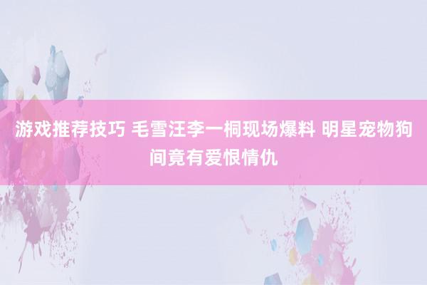 游戏推荐技巧 毛雪汪李一桐现场爆料 明星宠物狗间竟有爱恨情仇